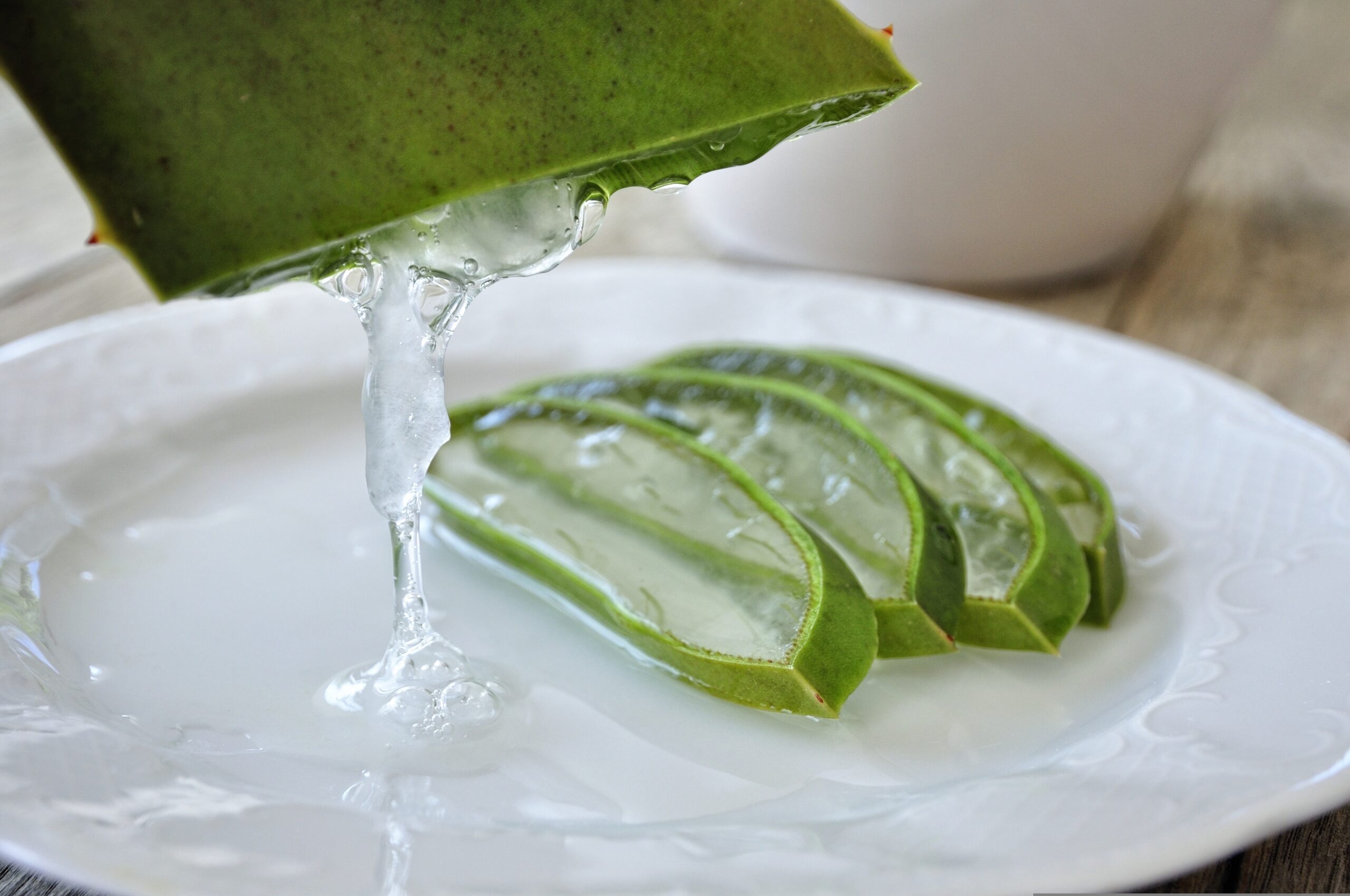 aloe-4529704