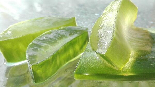 Aloe Vera Gel Thick Unscented Soothing, Cooling, Hydrating Moisturizer - Image 2