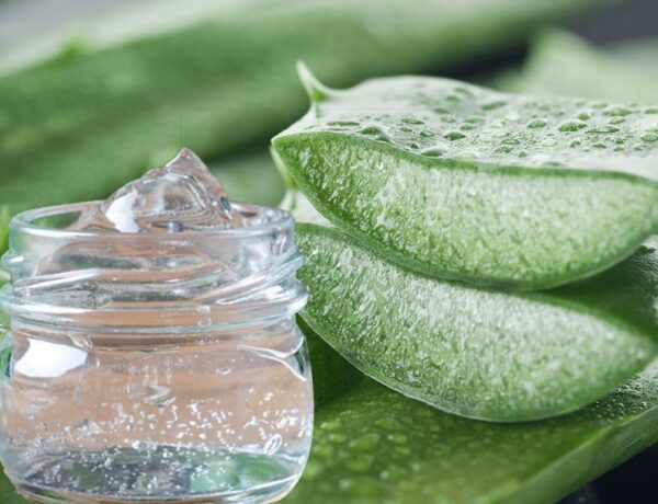Aloe Vera Gel Thick Unscented Soothing, Cooling, Hydrating Moisturizer - Image 5