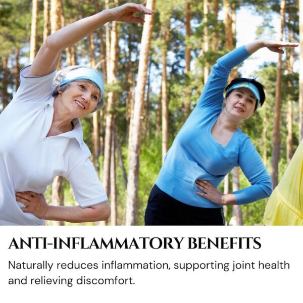 Highest Concentration Turmeric Extract Powder - Image 3
